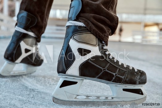 Picture of Close up of the legs of an ice skating man